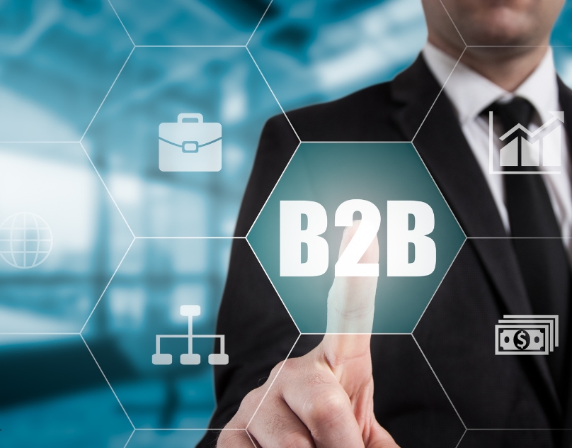 b2b marketplacedevelopment