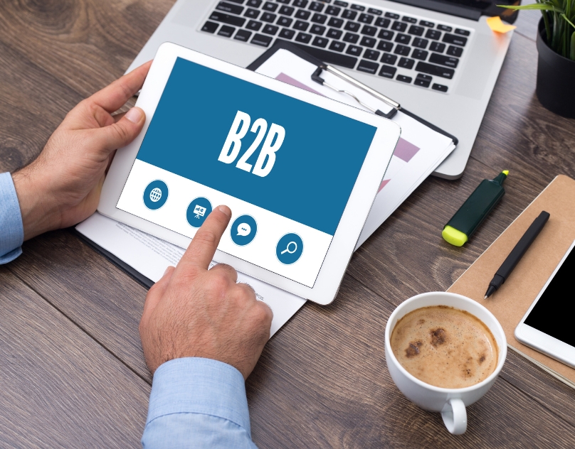 b2b marketplace development services