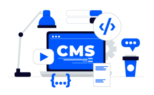 wordPress development